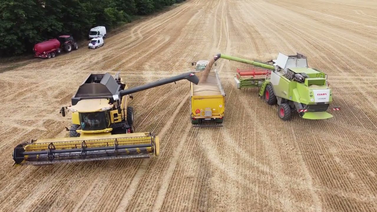 Búza aratás (+ bála szedés) 2022 Claas Lexion 660 és New Holland cx8080 (2. rész)