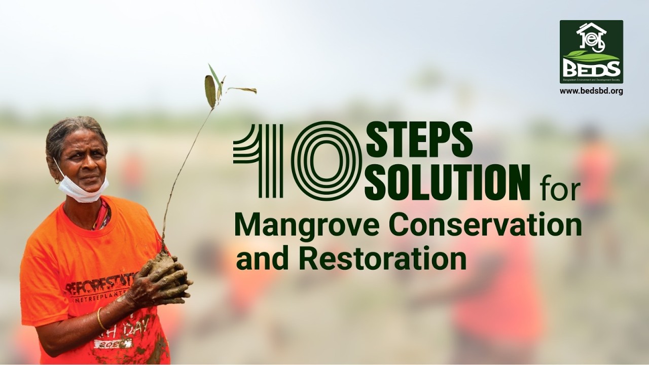 BEDS Mangrove conservation and restoration in Bangladesh