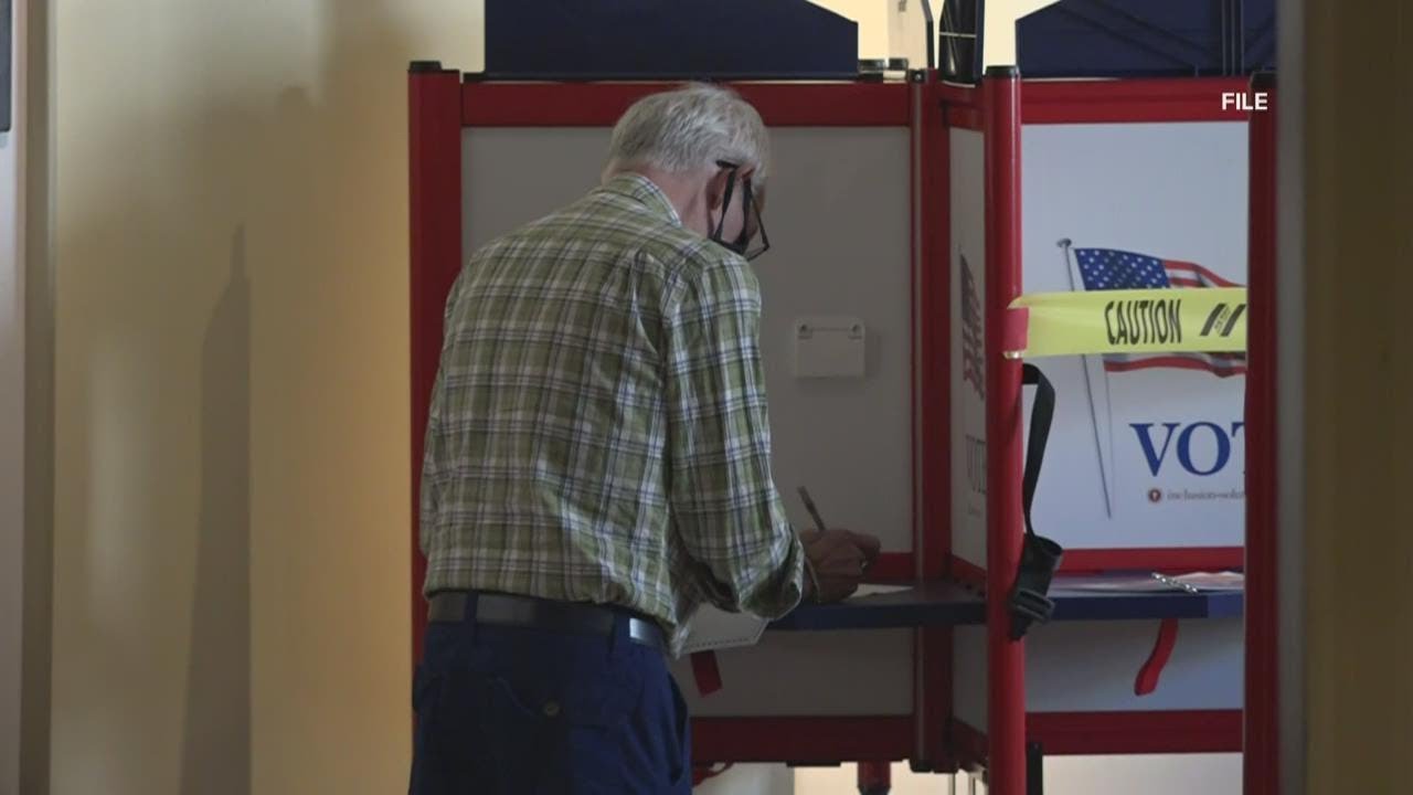 COVID-19 safety precautions at voting polls