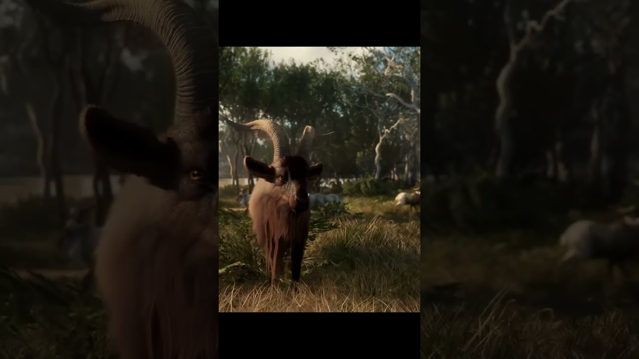 TOP 10 MELHORES MAPAS DE THE HUNTER CALL OF THE WILD   POSI&Ccedil;&Atilde;O 1   EMERALD COAST