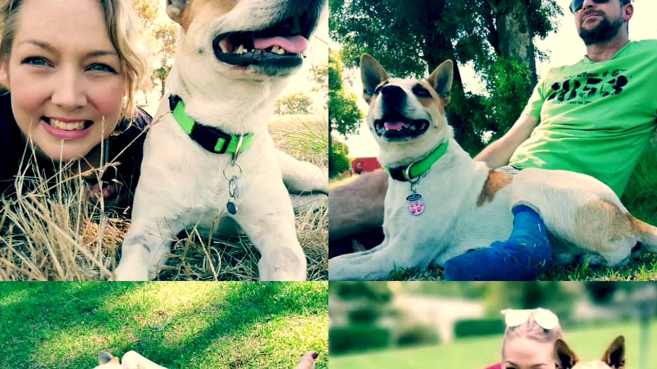 Good Things Guy weekly catch up... here's this week's top stories!