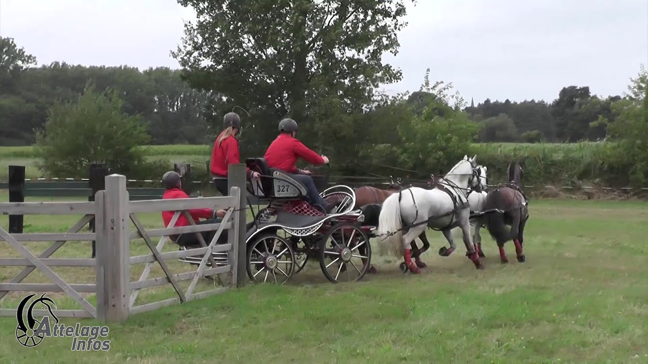 Thomas Van Dyck   Marathon   Championnat de Belgique Booischot 2019