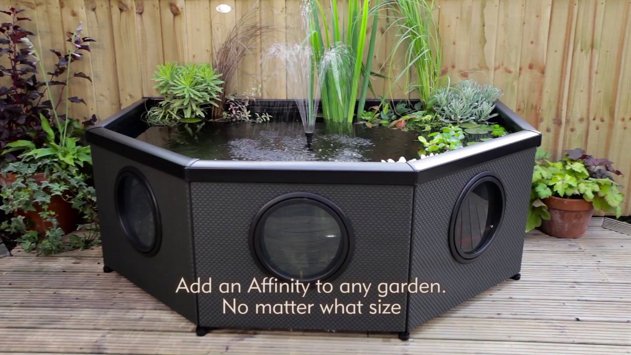 Affinity Grand Half-Moon - Get to Know
