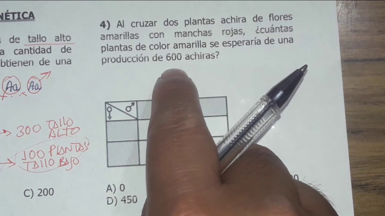 GENÉTICA EJERCICIOS