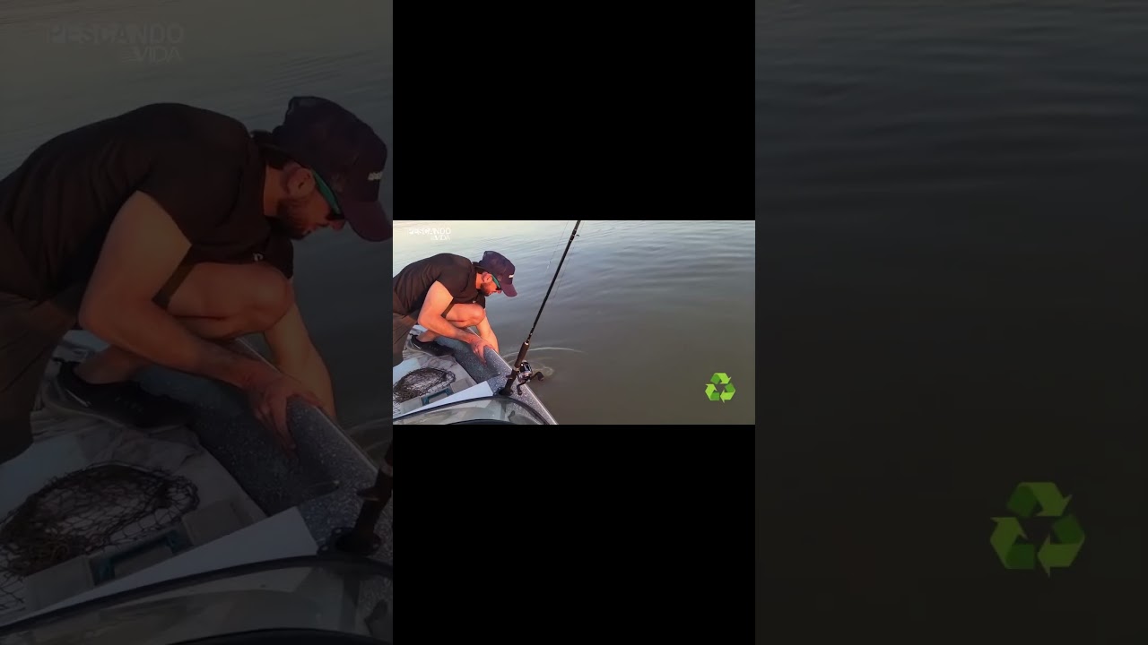 DORADO con carnada al atardecer  #pescandovida #pesca #dorado #fishing #shorts