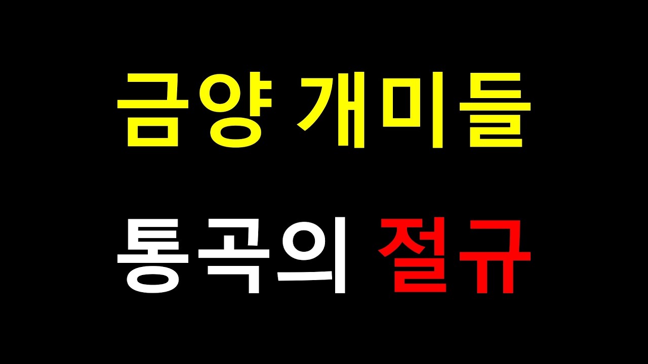 급인기 잡주에 투자하면 골로 간다