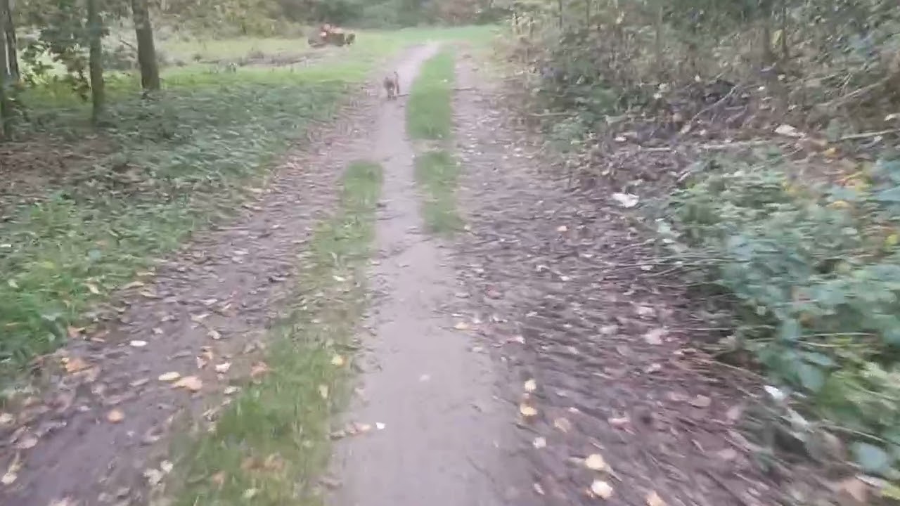 2e keer De Engerd, deel5 fiets