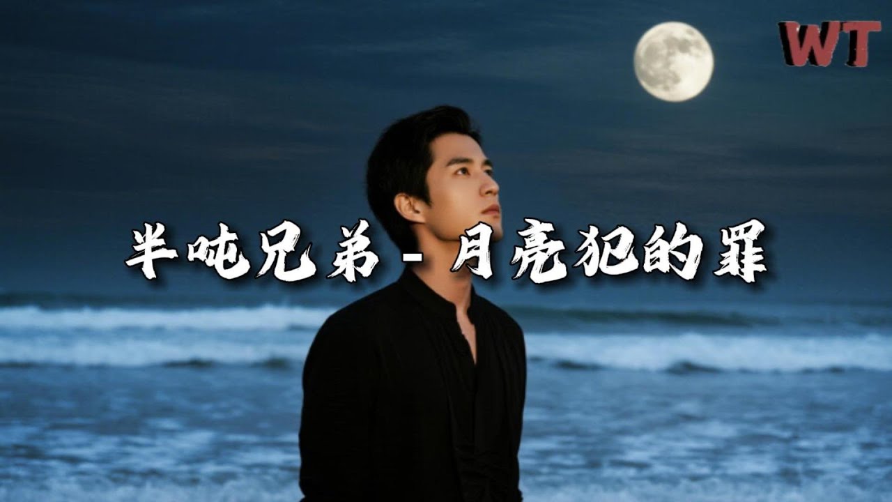 半吨兄弟 - 月亮犯的罪『月亮偷喝一杯酒酩酊大醉，对着 影子说着爱的滋味。』【动态歌词MV】
