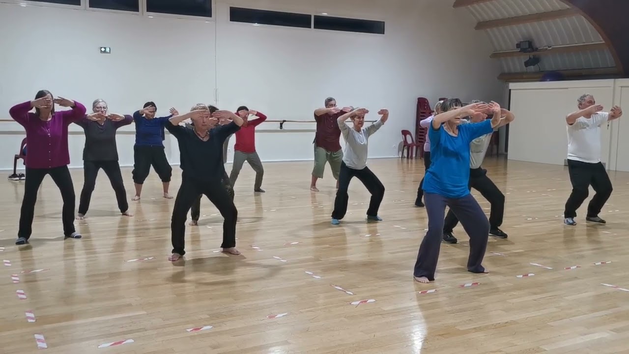 Qi Gong des 4 racines - Association Le Phoenix Bleu (64) - Cours du 15 Déc. 2022
