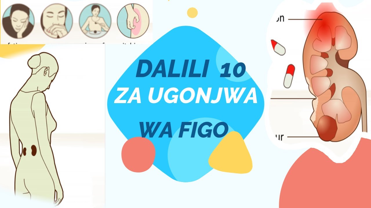 🔥🔥Watanzania washauriwa kufahamu dalili za awali za ugonjwa wa figo .