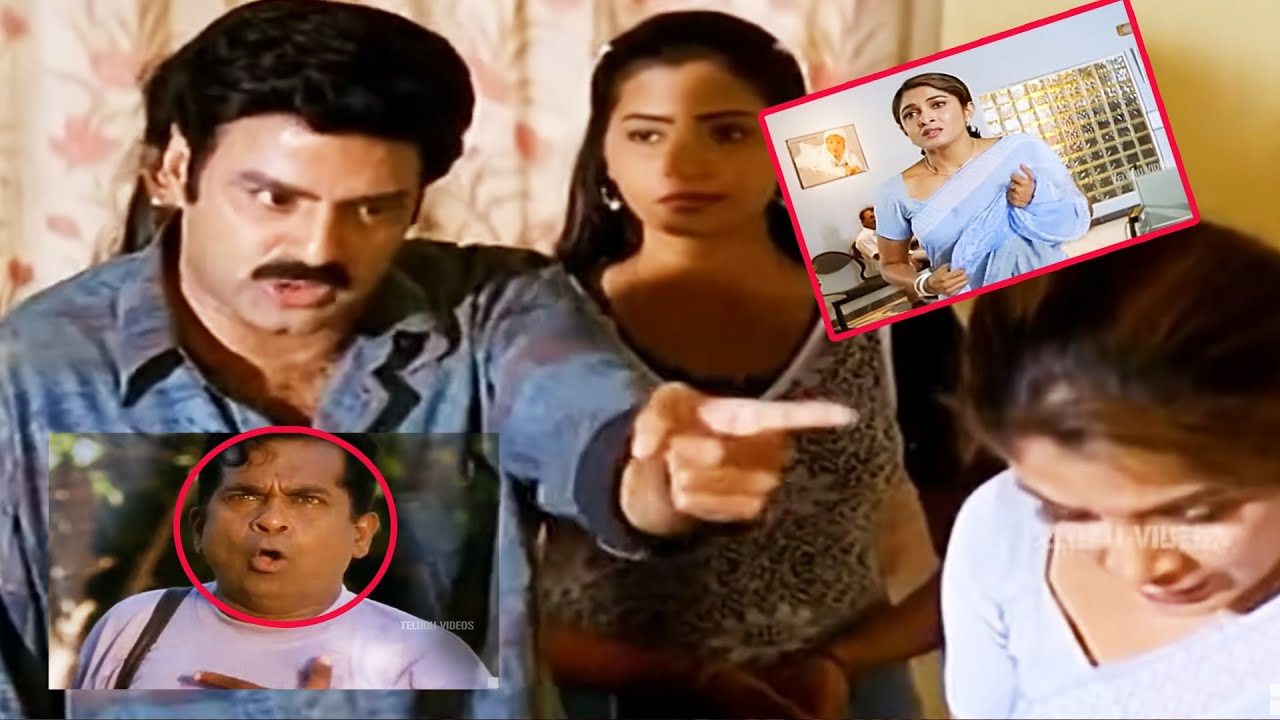 Nandamuri Balakrishna, Ramya Krishna , Brahmanandam Super Hit Movie Intresting Scene | @TeluguVideoZ