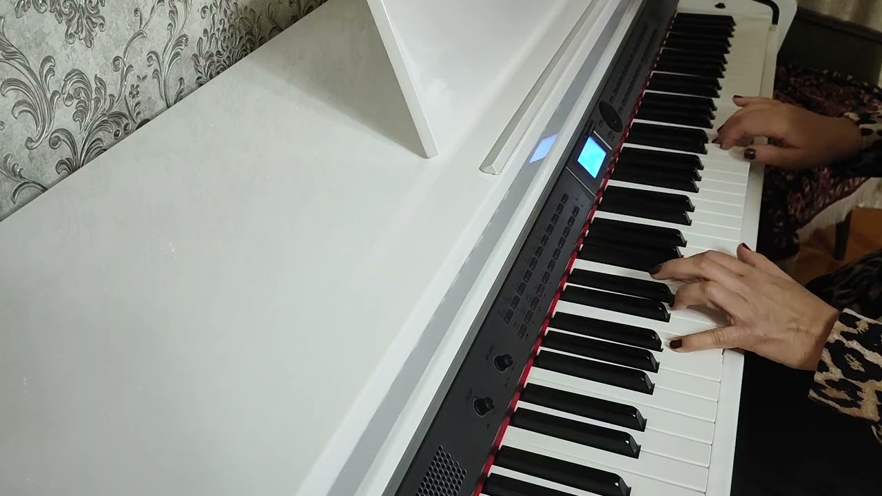 Paul Mauriat – Toccata   Piano Cover by Arzu Ashraf