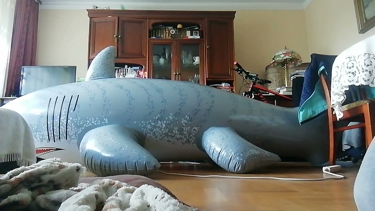 Giant inflatable world shark showcase