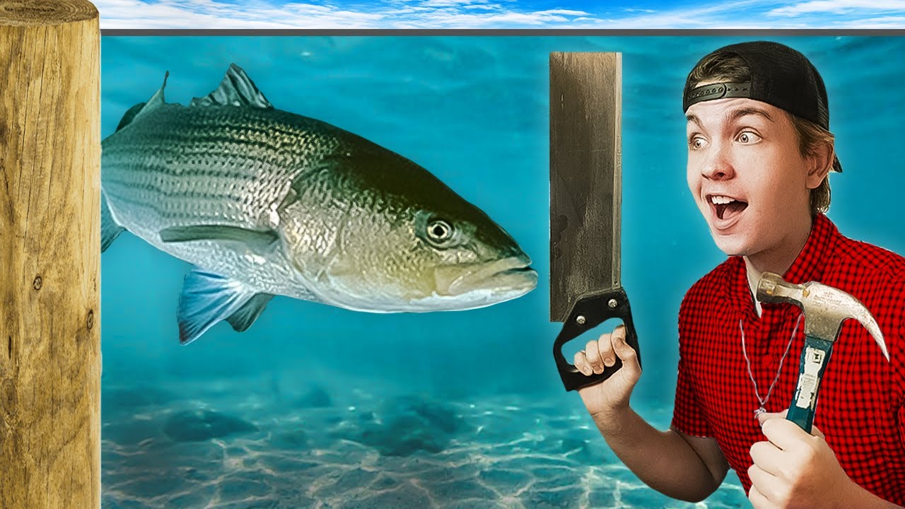 I Built a Striped Bass Pond!!