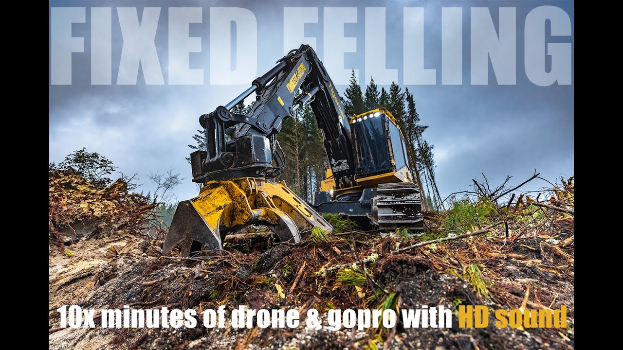 Tigercat 5185 in Stems crew in NZ. First video for 2022