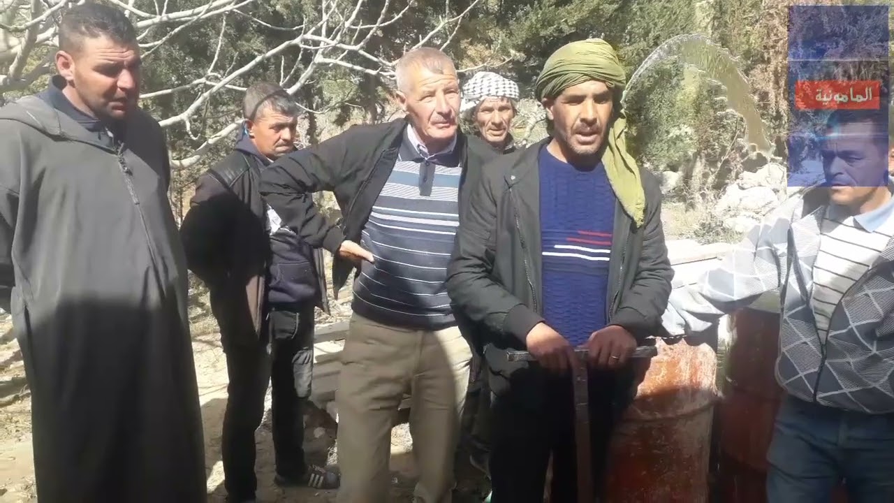 بلدية المامونية