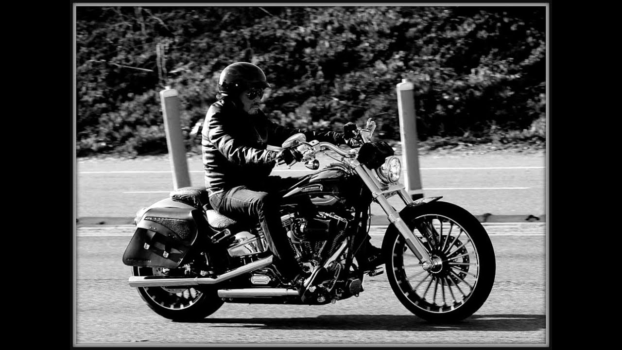 Johnny Hallyday (58)