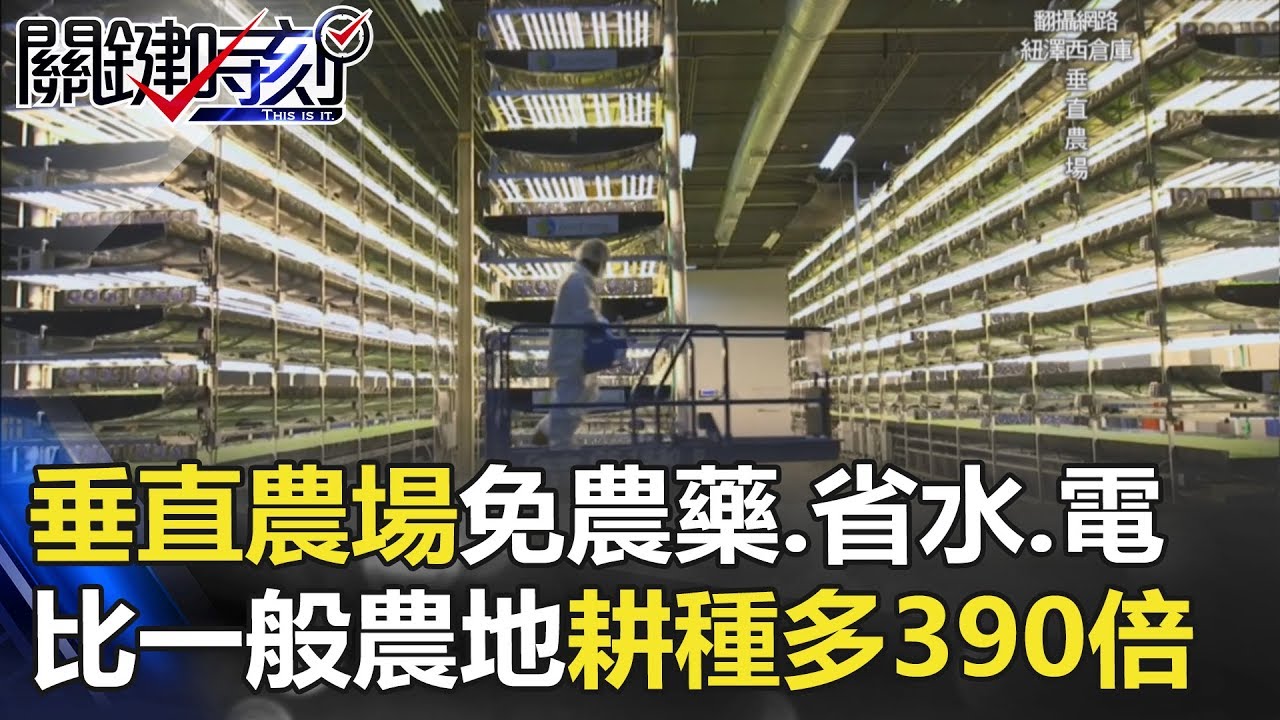 超酷！垂直農場免農藥、省水、省電 比一般農地耕種多出390倍！ 關鍵時刻20180129-6  朱學恒