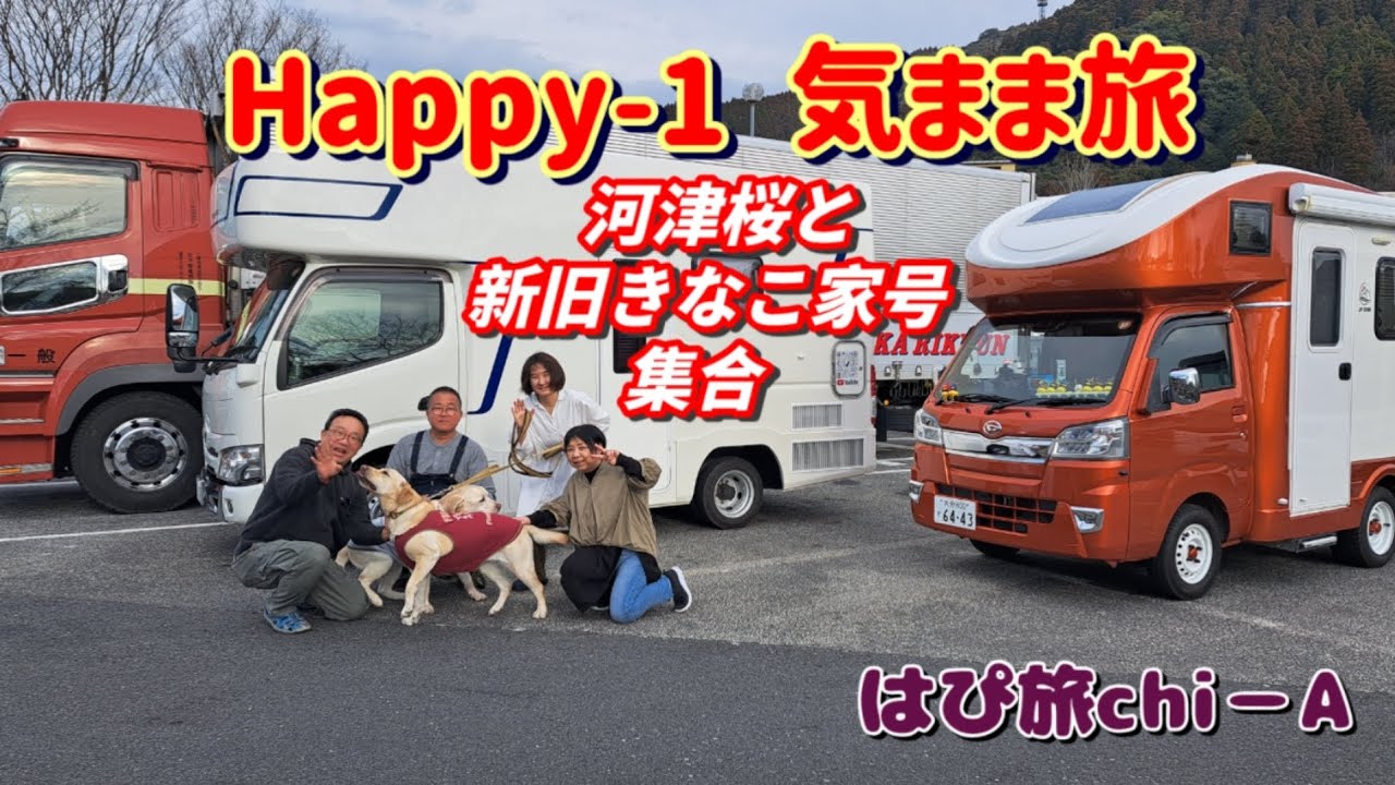 【河津桜と新旧きなこ家号集合】