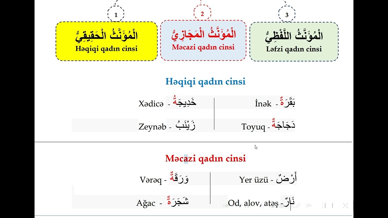 Qadın cinsinin növləri.