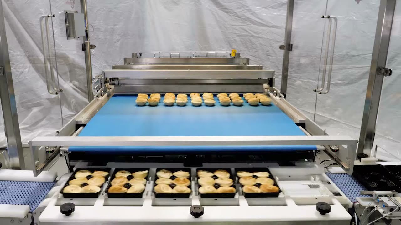 Pie Sorting and Packing System