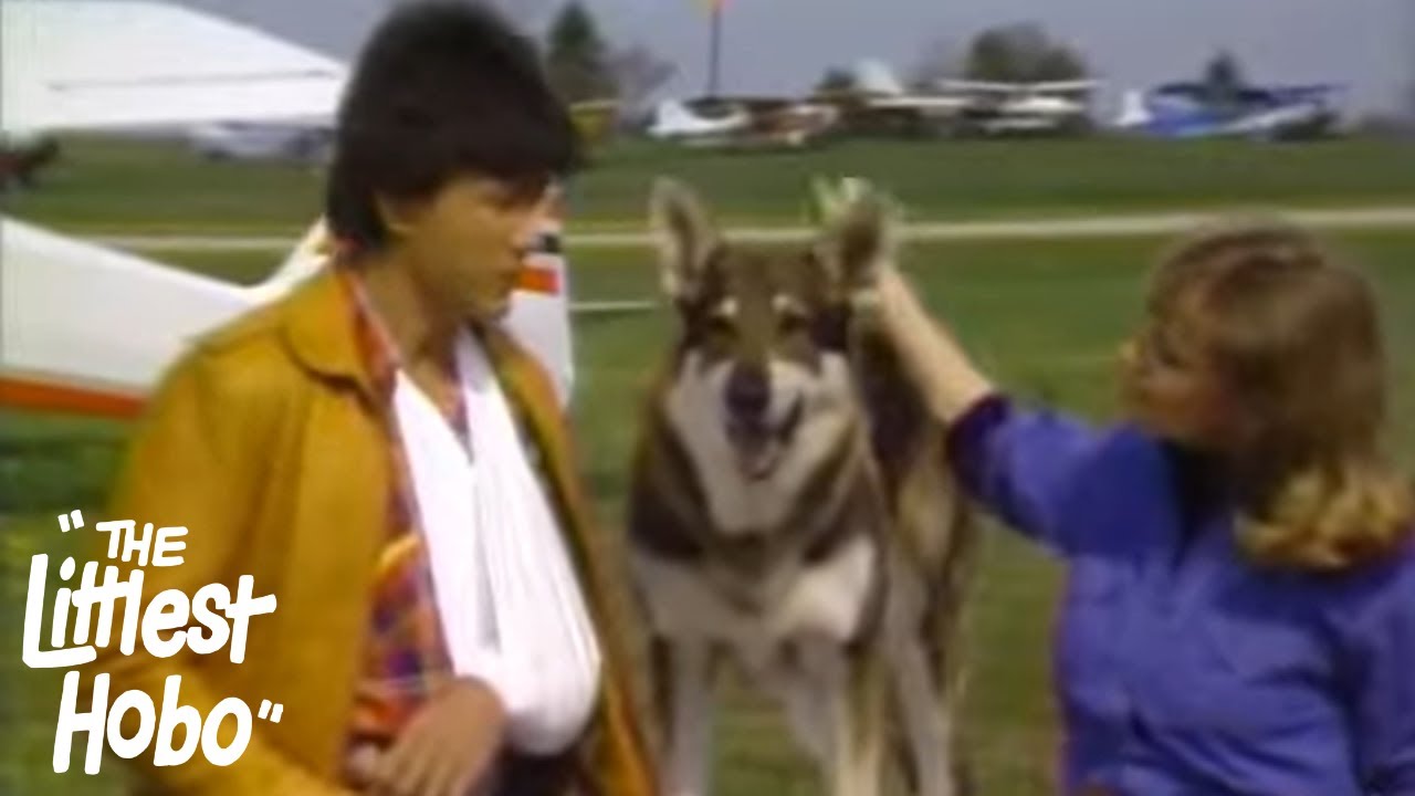 Airport | The Littlest Hobo | Season 3 | Episode 11