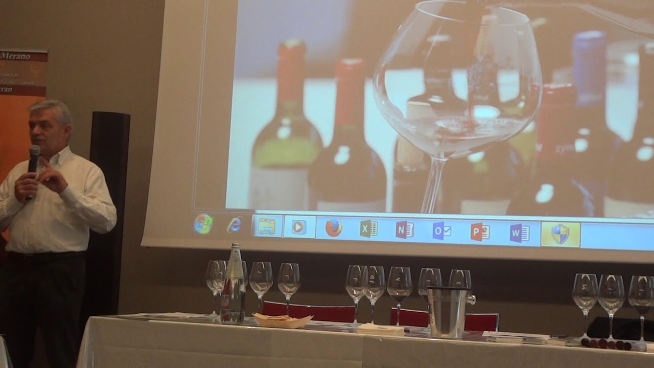 Celestino Gaspari  e Harlequin di Zyme in Verticale 1999-2011