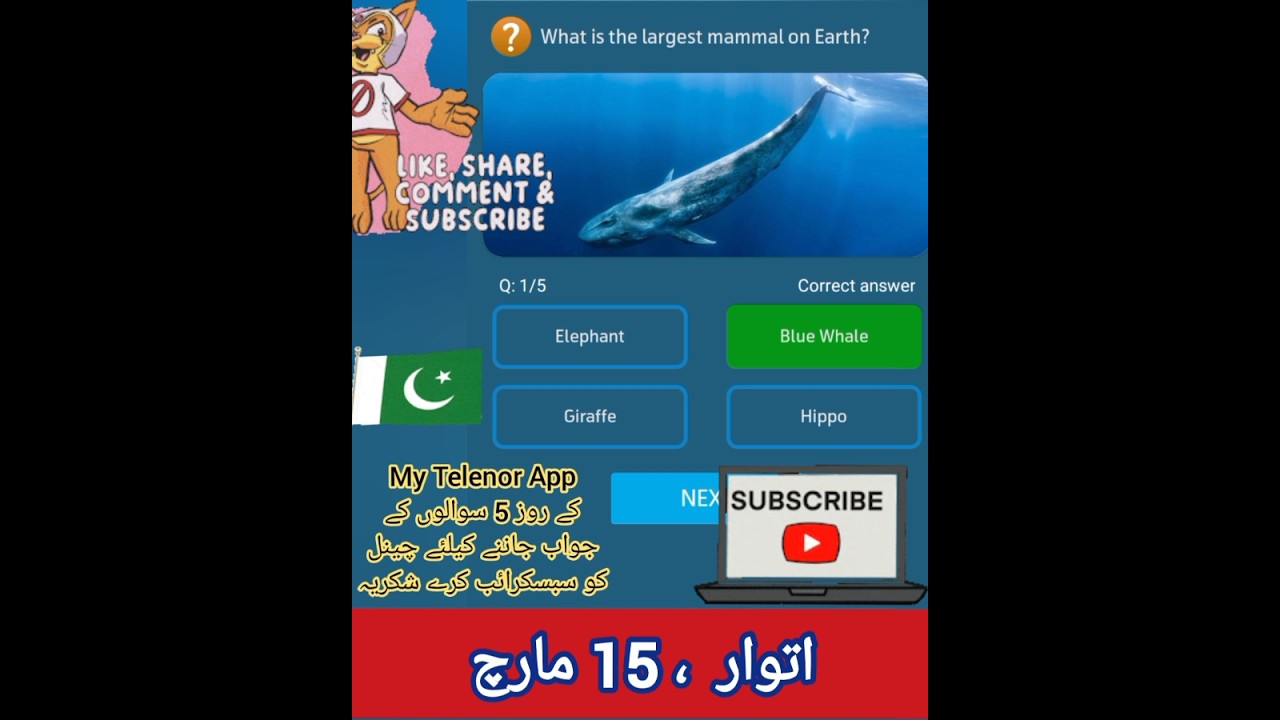 15th March 2026 | Sunday | My Telenor App Today Questions Answers #mytelenoranswerstoday