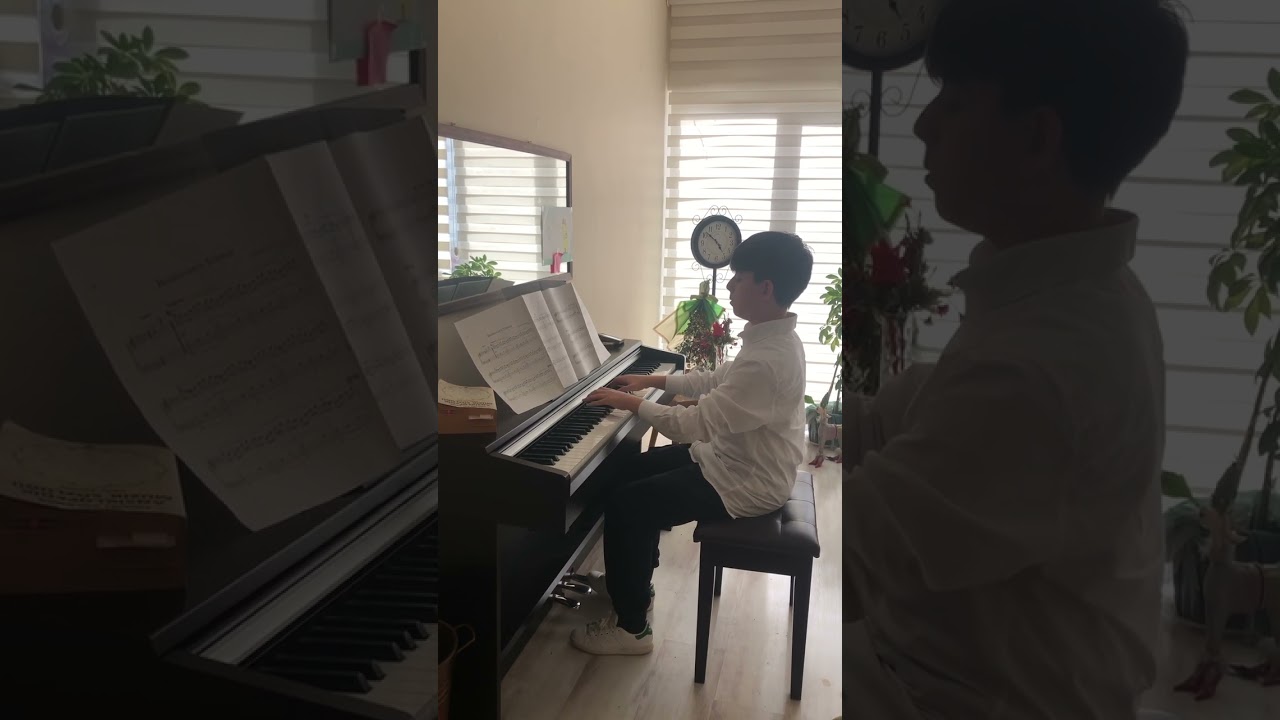 Rüzgar AYDIN /Beethoven’s Silence