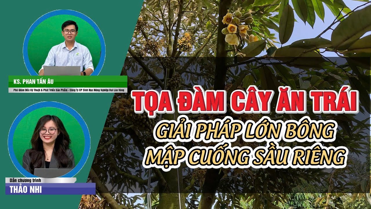 TỌA ĐÀM C.A.T KỲ 001: GIẢI PHÁP LỚN BÔNG MẬP CUỐNG SẦU RIÊNG