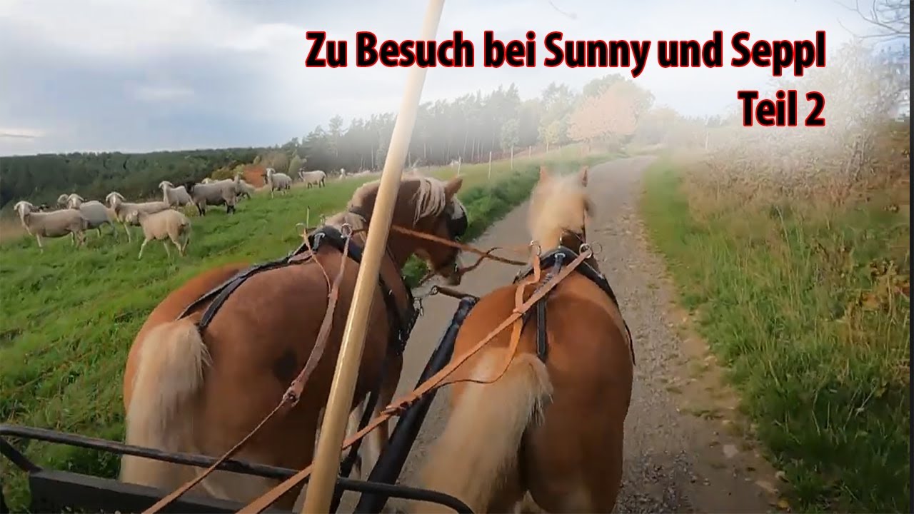 Zu Besuch bei Sunny und Seppl in Königsee bei Ilmenau