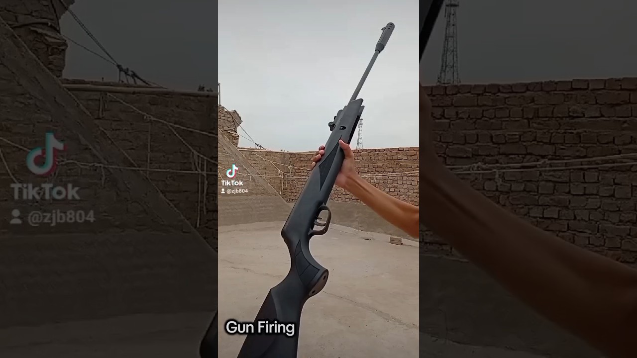 Airgun Shooting Perfect Shot 🎯 | Amazing Air Rifle Accuracy Test