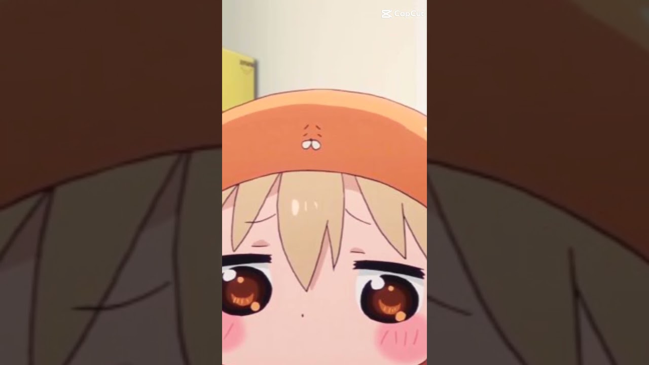 #umaruchan do you guys still remember her?