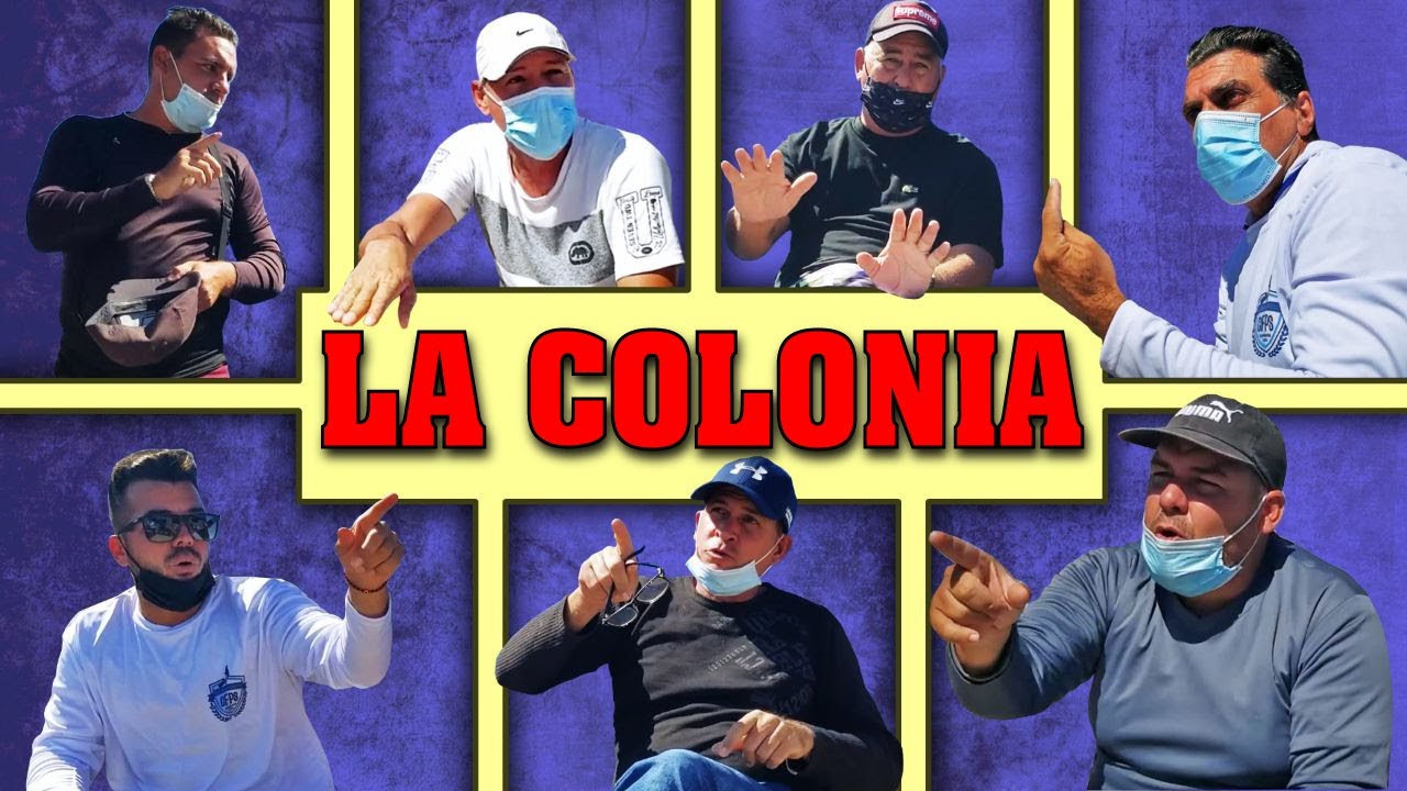 El Palomo Conquista y la Colonia. Palomeros de experiencia comparten sus conocimientos y prácticas.