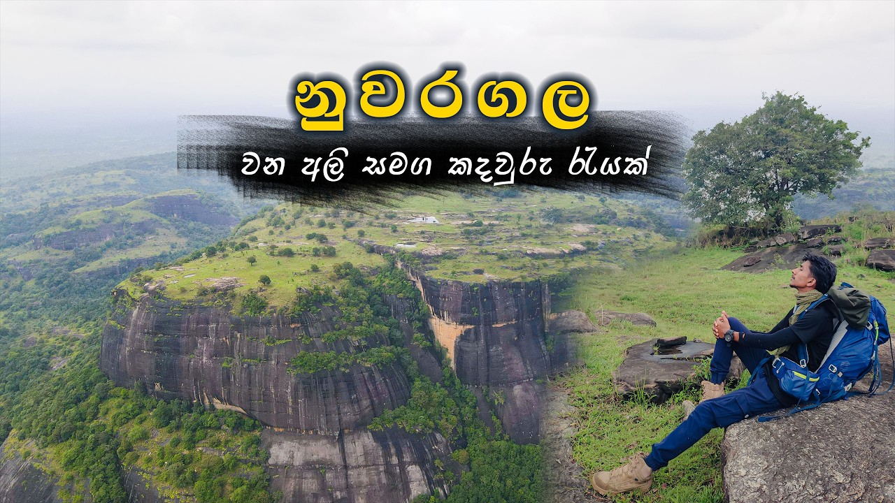 වන අලින්ගේ රාජධානියක කදවුරු රැයක් නුවරගල | Nuwaragala