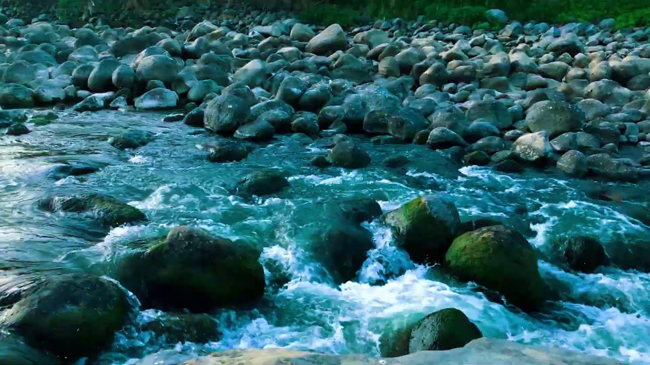 Healing Forest Stream with Healing Background Noise for Productivity, Mental Healing & Study