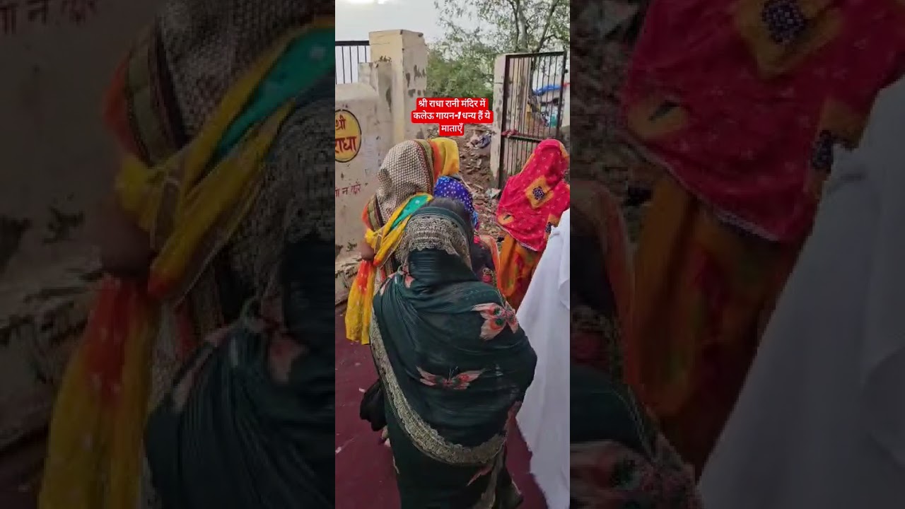 श्री राधा रानी मंदिर में कलेऊ गायन-1 धन्य हैं ये माताएँ🙏🏻❤️#ytshorts #viralvideo #love