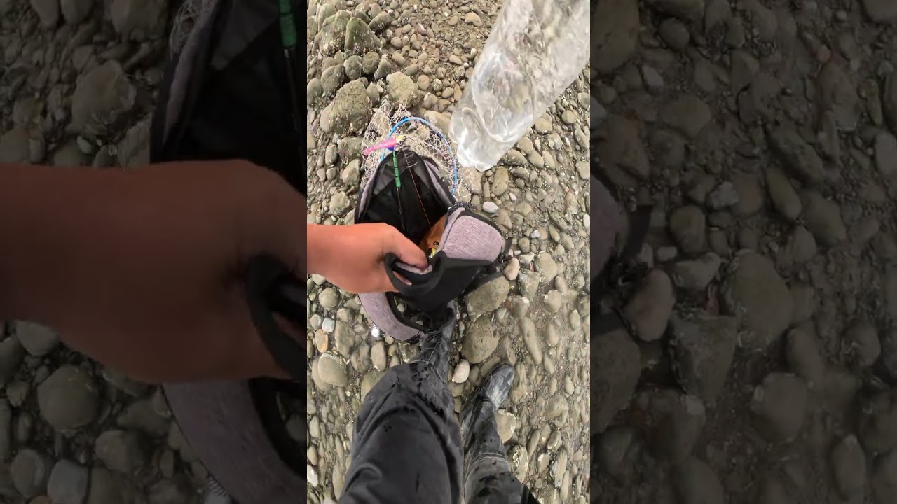 【絶景釣り旅】静寂の水辺と緑豊かな風景を堪能する冒険🌿🎣
