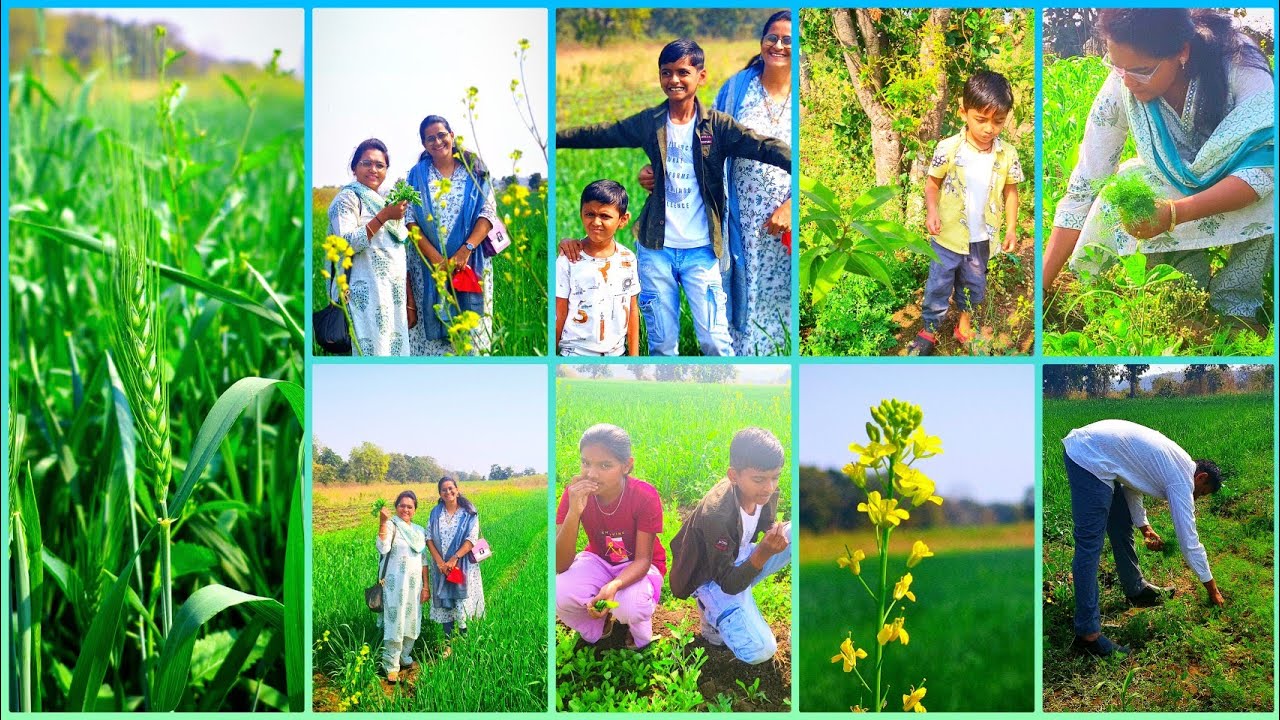 वावर हाय तर पावर हाय 