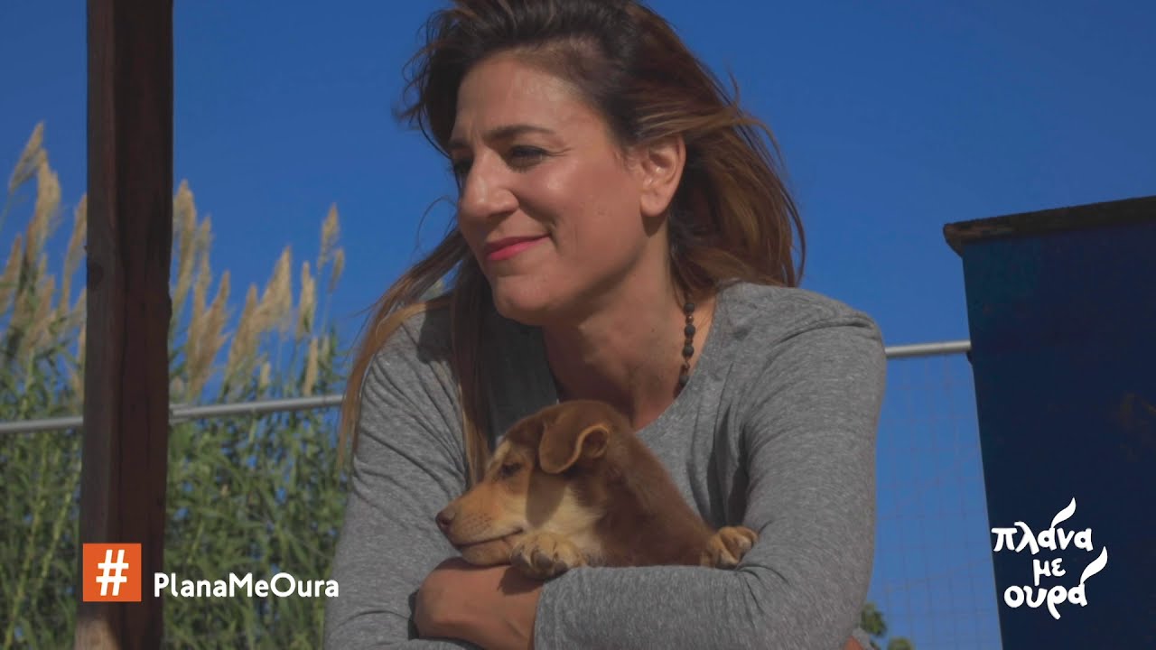 Πλάνα με Ουρά - Souda Shelter Project