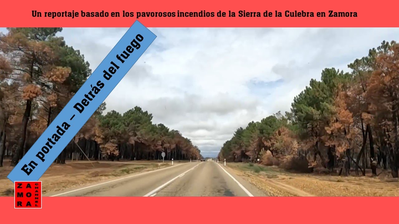 Detrás del fuego. En portada. Reportaje basado en el incendio Sierra de la Culebra 2022