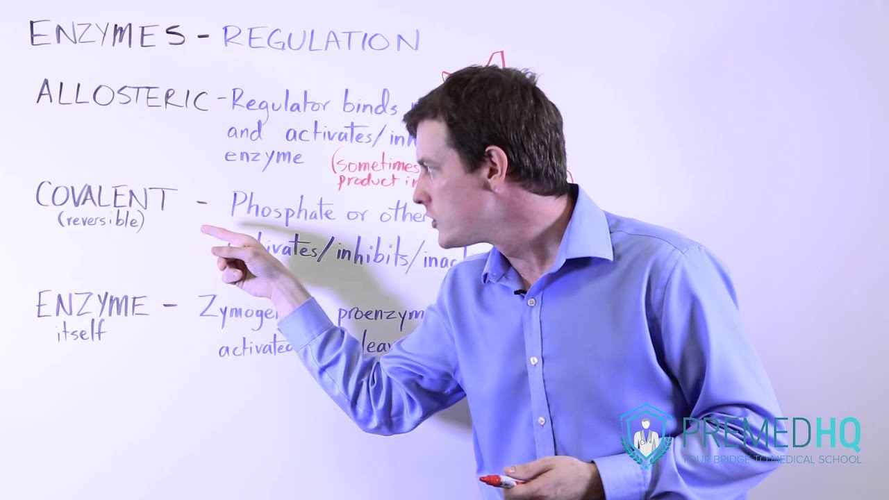 Enzyme Regulation
