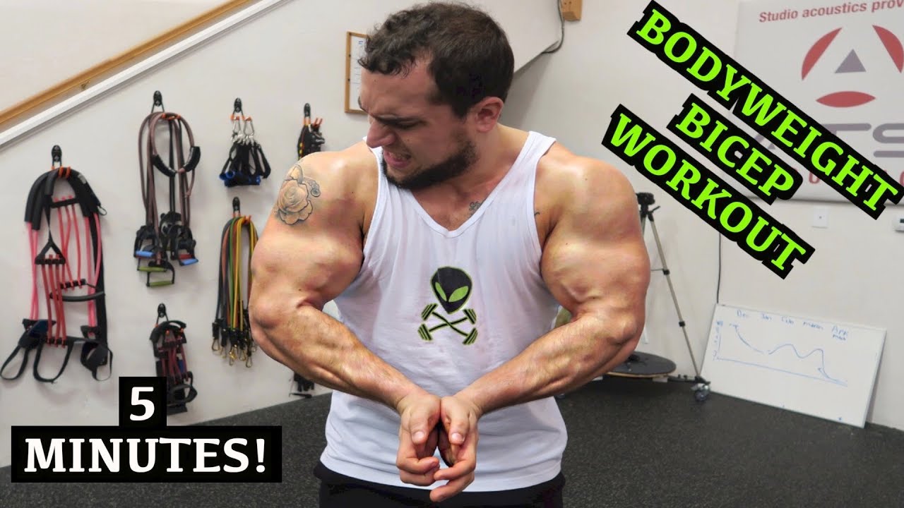 Intense 5 Minute At Home Bicep Workout #2
