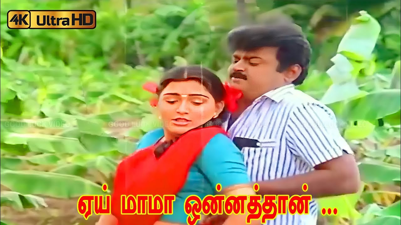 ஏய் மாமா ஒன்னத்தான் பாடல் |  Hey Maama unnathan song | S. Janaki | Vijayakanth, Kushboo love song .