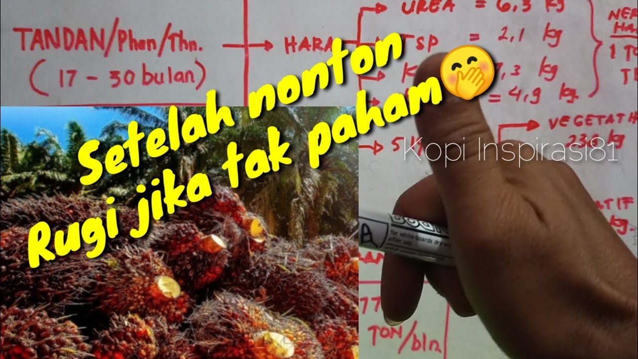 Sawit minimal 33 Ton jika anda paham ini @kopiinspirasi8193