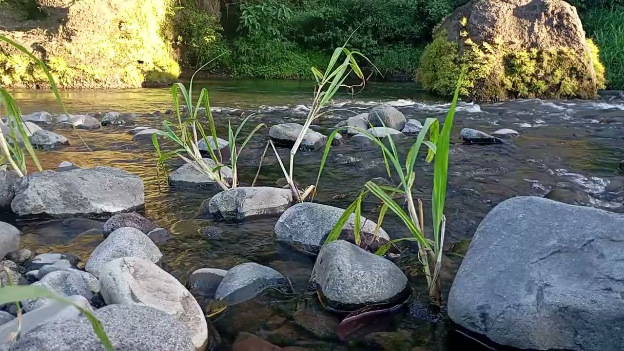 Crystal River Flow – Relaxing Water ASMR to Sleep Instantly