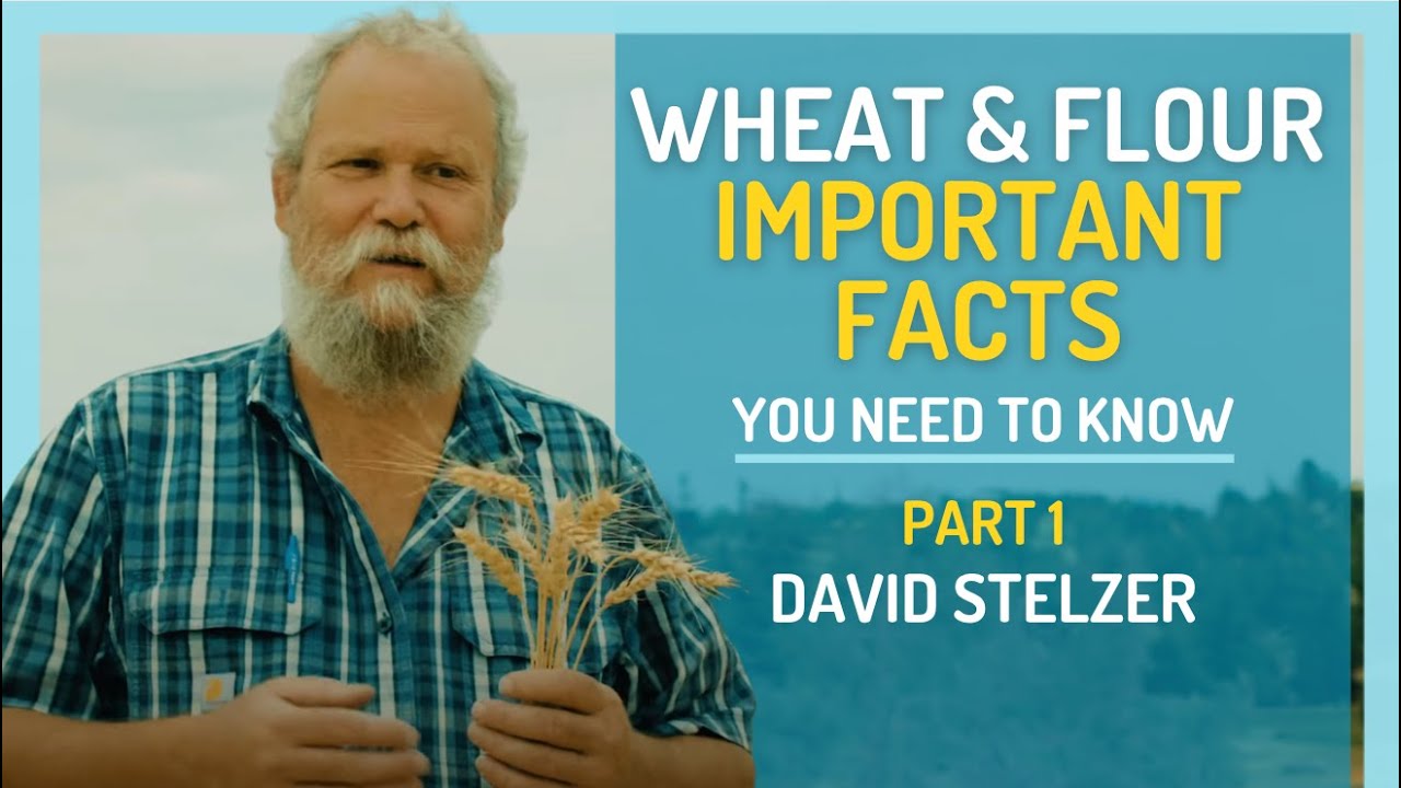 Wheat & Flour - Important Facts You Need to Know: A Masterclass with David Stelzer (Part 1 of 2)