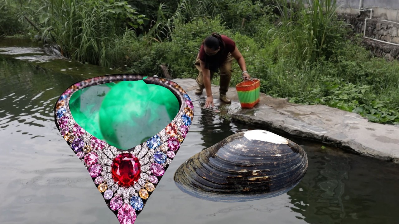 Unique craftsmanship for extracting pearls, the pearls are oversized and should be top-notch!