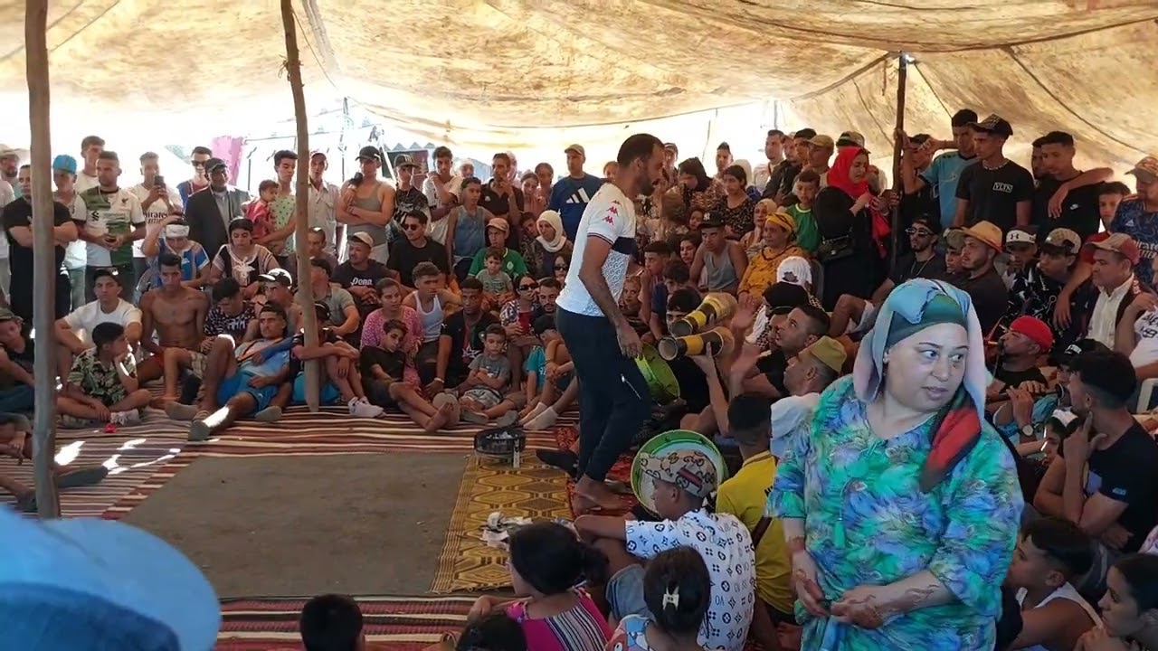 مجموعة جواد للهيت الأصيل بسيدي العربي البوهالي