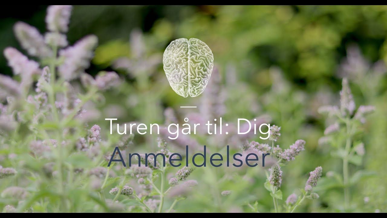 Online Kursus - Anmeldelser
